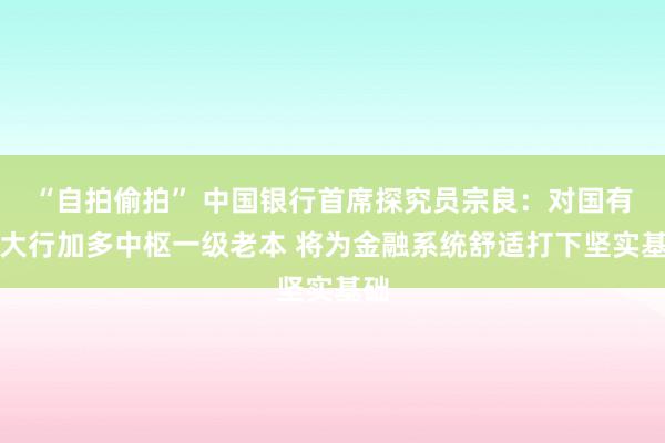 “自拍偷拍” 中国银行首席探究员宗良：对国有六大行加多中枢一级老本 将为金融系统舒适打下坚实基础