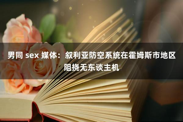 男同 sex 媒体：叙利亚防空系统在霍姆斯市地区阻挠无东谈主机