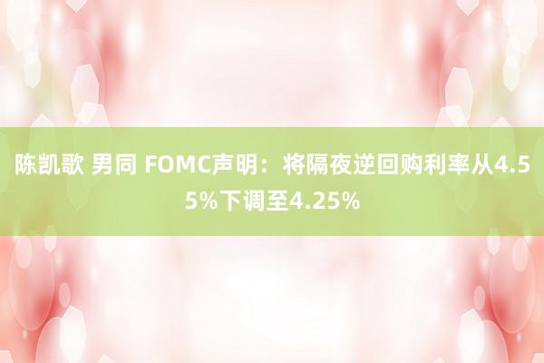 陈凯歌 男同 FOMC声明：将隔夜逆回购利率从4.55%下调至4.25%