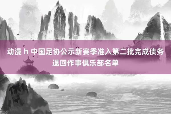 动漫 h 中国足协公示新赛季准入第二批完成债务退回作事俱乐部名单