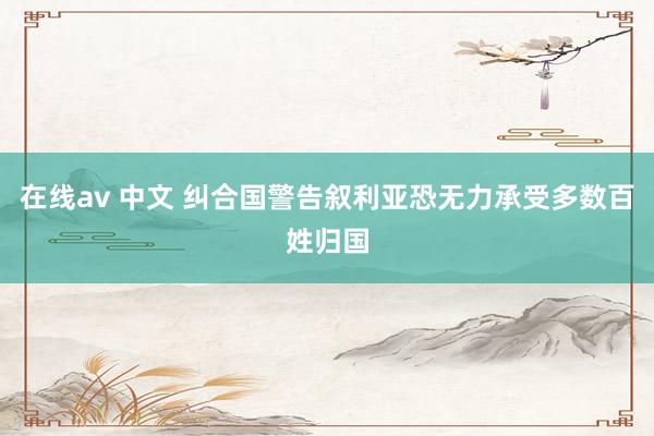 在线av 中文 纠合国警告叙利亚恐无力承受多数百姓归国