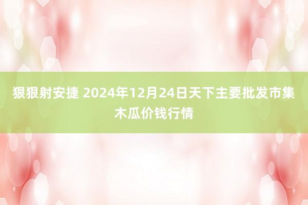 狠狠射安捷 2024年12月24日天下主要批发市集木瓜价钱行情