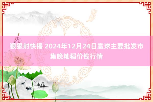 狠狠射快播 2024年12月24日寰球主要批发市集晚籼稻价钱行情