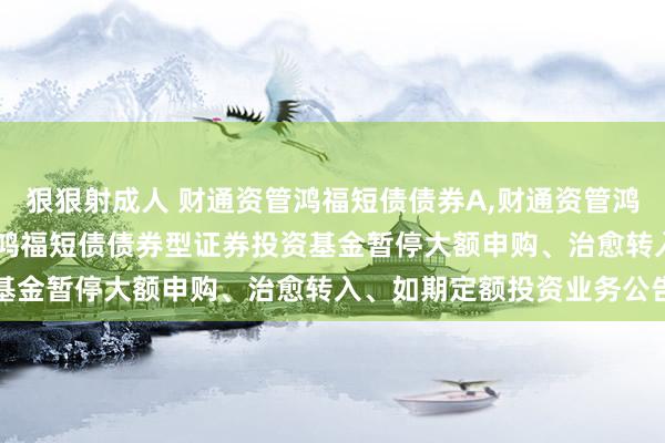 狠狠射成人 财通资管鸿福短债债券A,财通资管鸿福短债债券C: 财通资管鸿福短债债券型证券投资基金暂停大额申购、治愈转入、如期定额投资业务公告