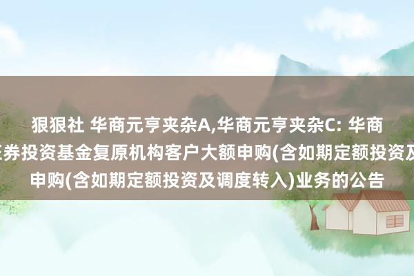 狠狠社 华商元亨夹杂A,华商元亨夹杂C: 华商元亨天真树立夹杂型证券投资基金复原机构客户大额申购(含如期定额投资及调度转入)业务的公告