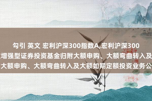 勾引 英文 宏利沪深300指数A,宏利沪深300指数C: 宏利沪深300指数增强型证券投资基金归附大额申购、大额弯曲转入及大额如期定额投资业务公告