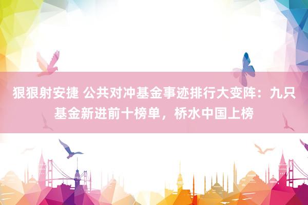 狠狠射安捷 公共对冲基金事迹排行大变阵：九只基金新进前十榜单，桥水中国上榜