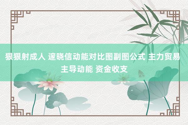 狠狠射成人 邃晓信动能对比图副图公式 主力贸易 主导动能 资金收支