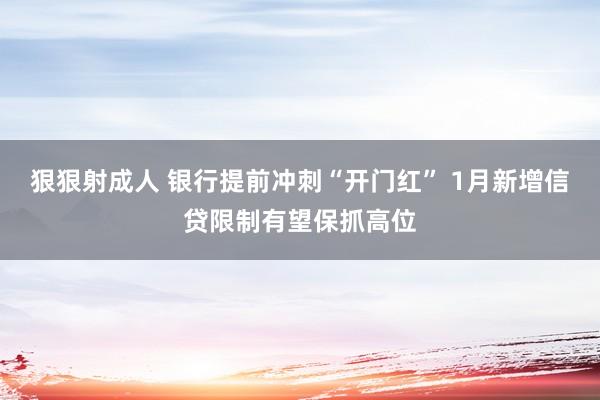 狠狠射成人 银行提前冲刺“开门红” 1月新增信贷限制有望保抓高位