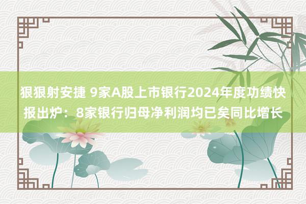 狠狠射安捷 9家A股上市银行2024年度功绩快报出炉：8家银行归母净利润均已矣同比增长