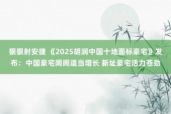 狠狠射安捷 《2025胡润中国十地面标豪宅》发布：中国豪宅阛阓适当增长 新址豪宅活力苍劲