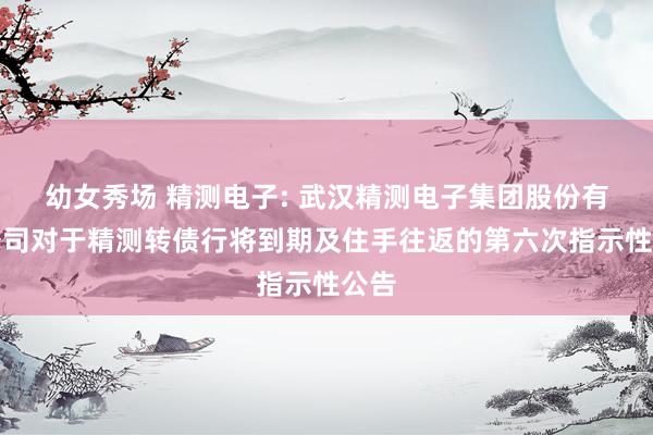 幼女秀场 精测电子: 武汉精测电子集团股份有限公司对于精测转债行将到期及住手往返的第六次指示性公告