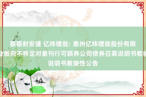 狠狠射安捷 亿纬锂能: 惠州亿纬锂能股份有限公司创业板向不特定对象刊行可颐养公司债券召募说明书教唆性公告