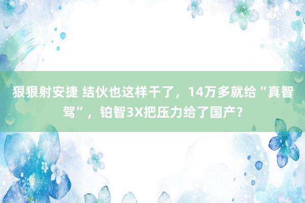 狠狠射安捷 结伙也这样干了，14万多就给“真智驾”，铂智3X把压力给了国产？