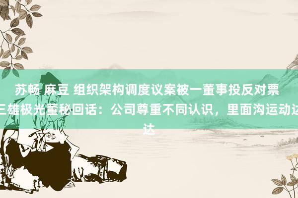苏畅 麻豆 组织架构调度议案被一董事投反对票 三雄极光董秘回话：公司尊重不同认识，里面沟运动达