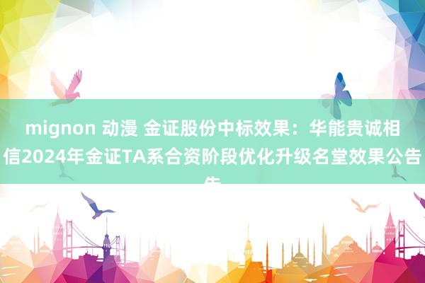 mignon 动漫 金证股份中标效果：华能贵诚相信2024年金证TA系合资阶段优化升级名堂效果公告