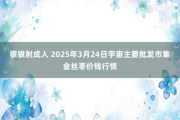 狠狠射成人 2025年3月24日宇宙主要批发市集金丝枣价钱行情
