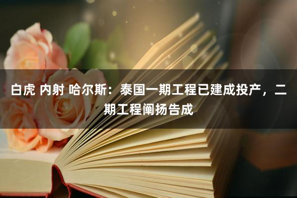 白虎 内射 哈尔斯：泰国一期工程已建成投产，二期工程阐扬告成