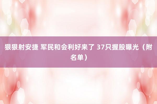 狠狠射安捷 军民和会利好来了 37只握股曝光（附名单）