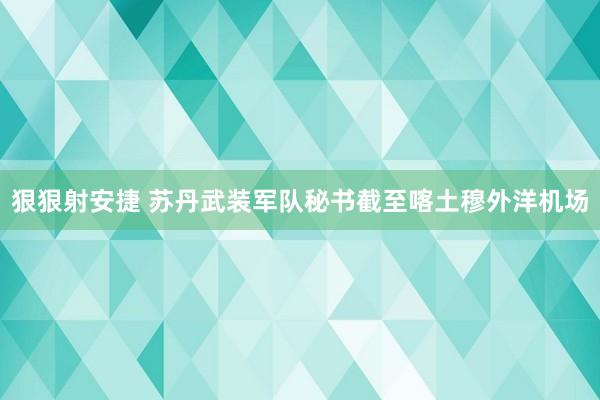 狠狠射安捷 苏丹武装军队秘书截至喀土穆外洋机场