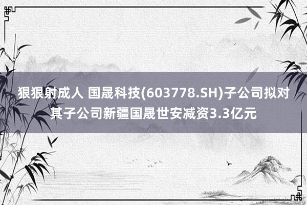 狠狠射成人 国晟科技(603778.SH)子公司拟对其子公司新疆国晟世安减资3.3亿元