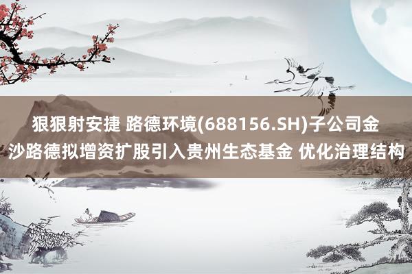 狠狠射安捷 路德环境(688156.SH)子公司金沙路德拟增资扩股引入贵州生态基金 优化治理结构