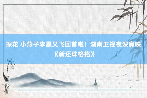 探花 小燕子李晟又飞回首啦！湖南卫视夜深奥映《新还珠格格》