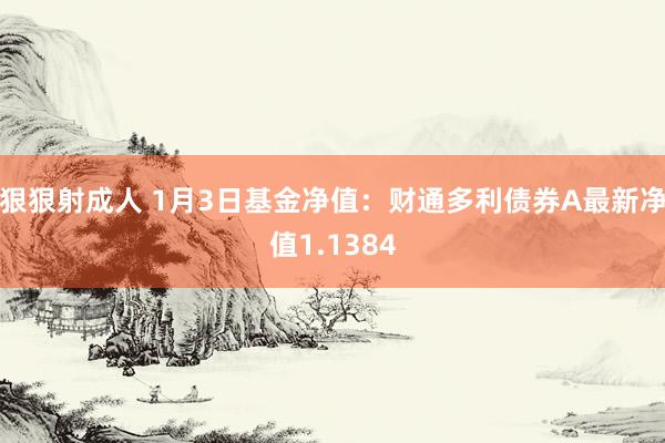 狠狠射成人 1月3日基金净值：财通多利债券A最新净值1.1384
