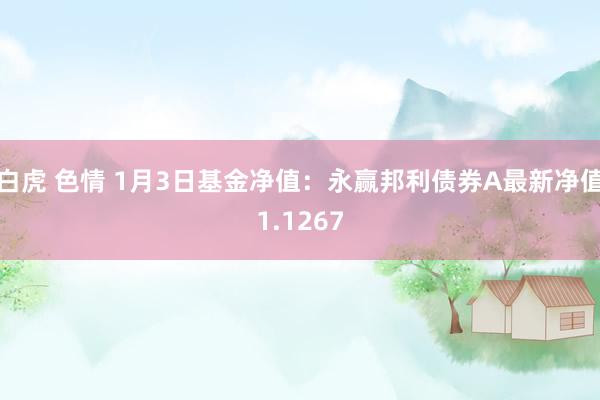白虎 色情 1月3日基金净值：永赢邦利债券A最新净值1.1267