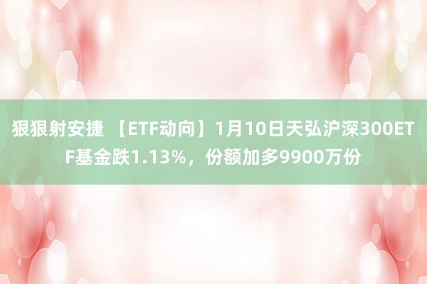 狠狠射安捷 【ETF动向】1月10日天弘沪深300ETF基金跌1.13%，份额加多9900万份