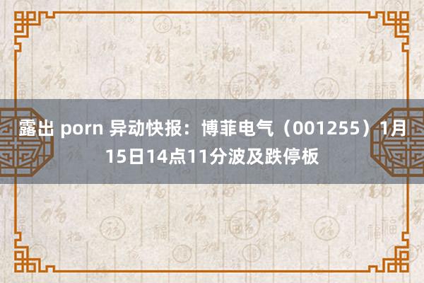 露出 porn 异动快报：博菲电气（001255）1月15日14点11分波及跌停板