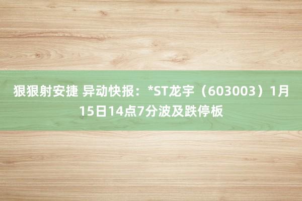 狠狠射安捷 异动快报：*ST龙宇（603003）1月15日14点7分波及跌停板