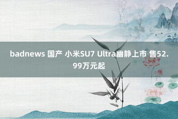 badnews 国产 小米SU7 Ultra幽静上市 售52.99万元起