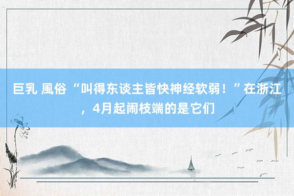 巨乳 風俗 “叫得东谈主皆快神经软弱!”在浙江,4月起闹枝端的是它们