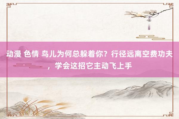 动漫 色情 鸟儿为何总躲着你？行径远离空费功夫，学会这招它主动飞上手
