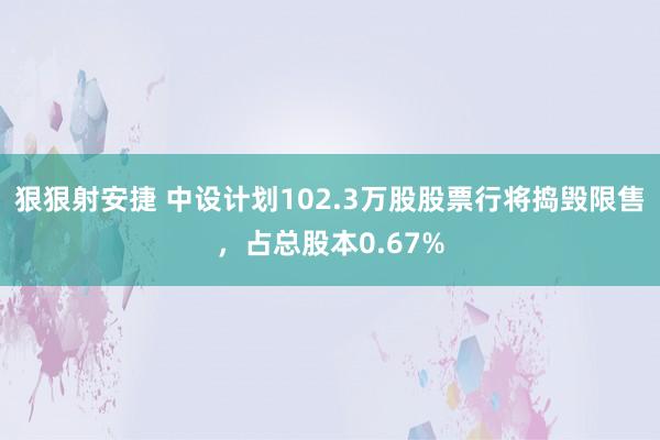 狠狠射安捷 中设计划102.3万股股票行将捣毁限售，占总股本0.67%