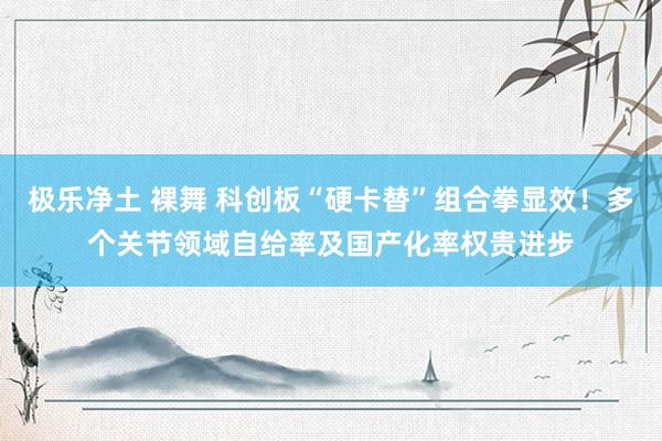 极乐净土 裸舞 科创板“硬卡替”组合拳显效！多个关节领域自给率及国产化率权贵进步