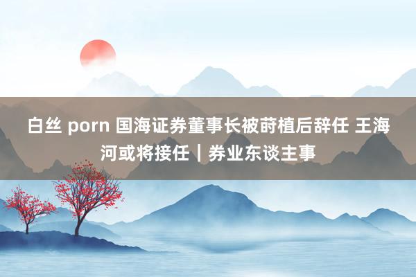 白丝 porn 国海证券董事长被莳植后辞任 王海河或将接任｜券业东谈主事