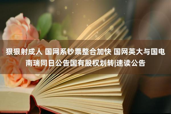 狠狠射成人 国网系钞票整合加快 国网英大与国电南瑞同日公告国有股权划转|速读公告