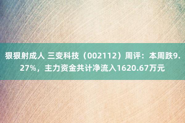 狠狠射成人 三变科技（002112）周评：本周跌9.27%，主力资金共计净流入1620.67万元