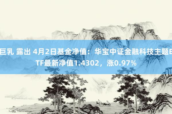 巨乳 露出 4月2日基金净值：华宝中证金融科技主题ETF最新净值1.4302，涨0.97%