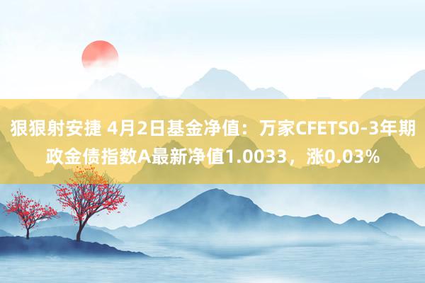 狠狠射安捷 4月2日基金净值：万家CFETS0-3年期政金债指数A最新净值1.0033，涨0.03%