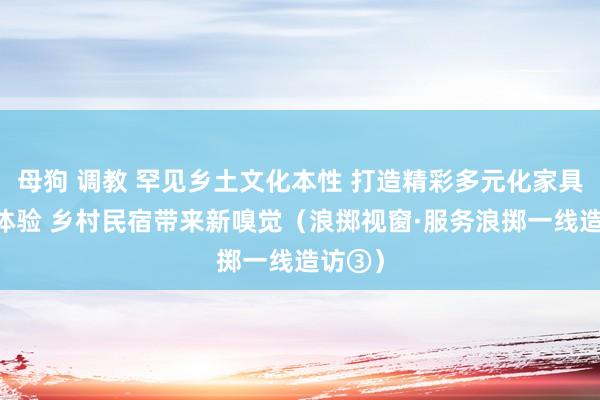 母狗 调教 罕见乡土文化本性 打造精彩多元化家具 精采体验 乡村民宿带来新嗅觉（浪掷视窗·服务浪掷一线造访③）