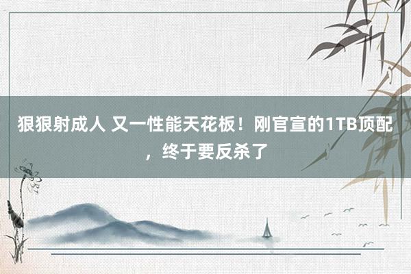 狠狠射成人 又一性能天花板！刚官宣的1TB顶配，终于要反杀了
