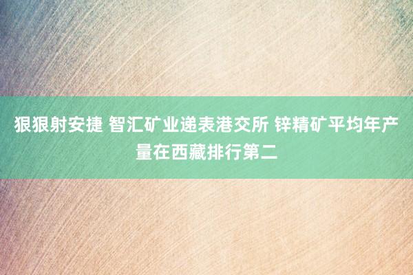 狠狠射安捷 智汇矿业递表港交所 锌精矿平均年产量在西藏排行第二
