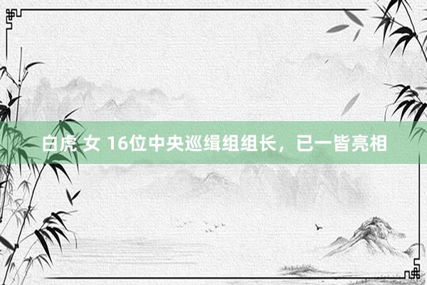 白虎 女 16位中央巡缉组组长，已一皆亮相