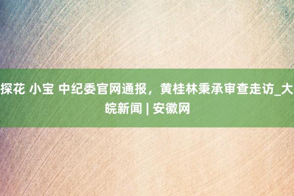 探花 小宝 中纪委官网通报，黄桂林秉承审查走访_大皖新闻 | 安徽网
