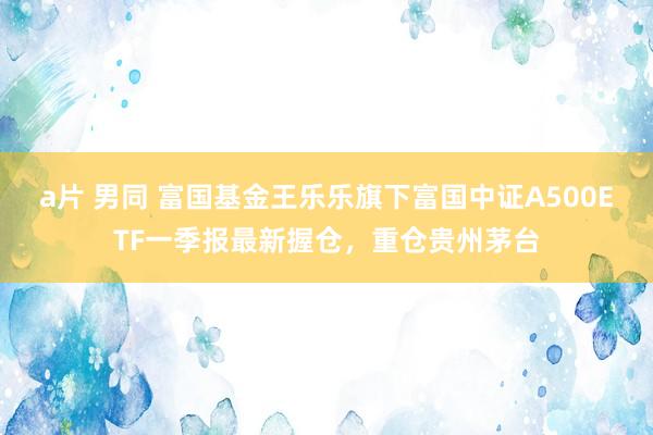 a片 男同 富国基金王乐乐旗下富国中证A500ETF一季报最新握仓，重仓贵州茅台