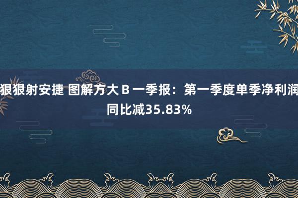 狠狠射安捷 图解方大Ｂ一季报：第一季度单季净利润同比减35.83%