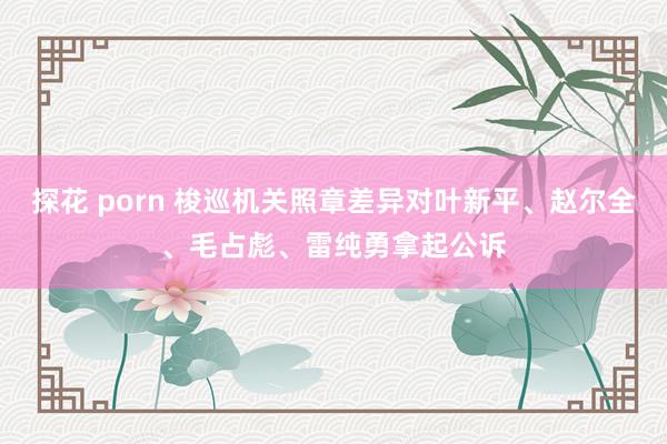 探花 porn 梭巡机关照章差异对叶新平、赵尔全、毛占彪、雷纯勇拿起公诉